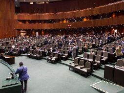 La reserva fue presentada por el diputado de Morena, Carol Antonio Altamirano. NTX/J. Pazos