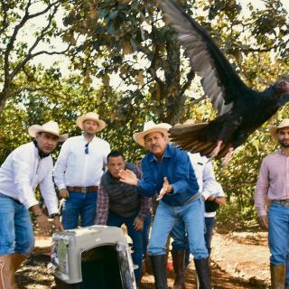 Tlajomulco reintegra 400 animales a su hábitat natural
