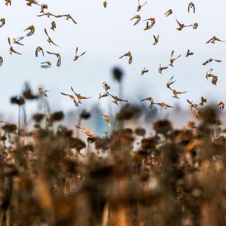 El mundo en imágenes del 20 de diciembre de 2018