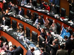 Mientras tanto los senadores regresarán a sus ciudades natales para celebrar la Navidad. SUN