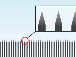 Trump publica diseño de "hermoso" muro fronterizo