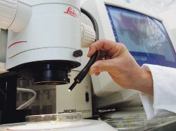 El clúster médico o de biotecnología será una de las apuestas para mejorar las cifras de la Entidad. EL INFORMADOR