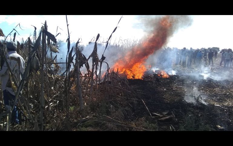 La aeronave se estrelló esta tarde en terrenos de cultivo en la localidad de Santa María Coronango, Puebla. TWITTER@AleMondras