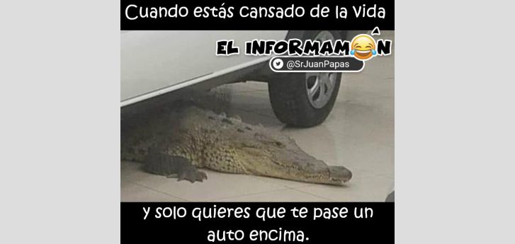 ¿Cansado de la vida?