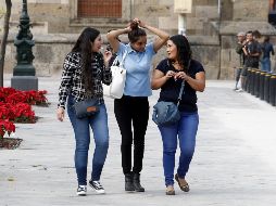 Manpower Group considera que la implementación del programa del Gobierno federal traerá consecuencias positivas para la Entidad. EL INFORMADOR/A. Camacho