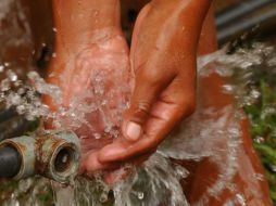 La dependencia aseguró que dejar los alimentos a temperatura ambiente provoca que algunos microorganismos se multipliquen rapidamente. AP / ARCHIVO