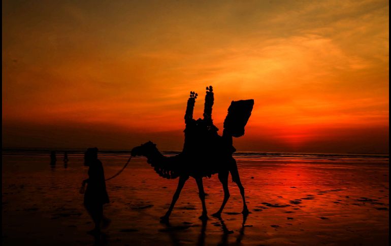Un hombre conduce su camello junto a la playa en Karachi, Pakistán, durante el atardecer. EFE/R. Khan