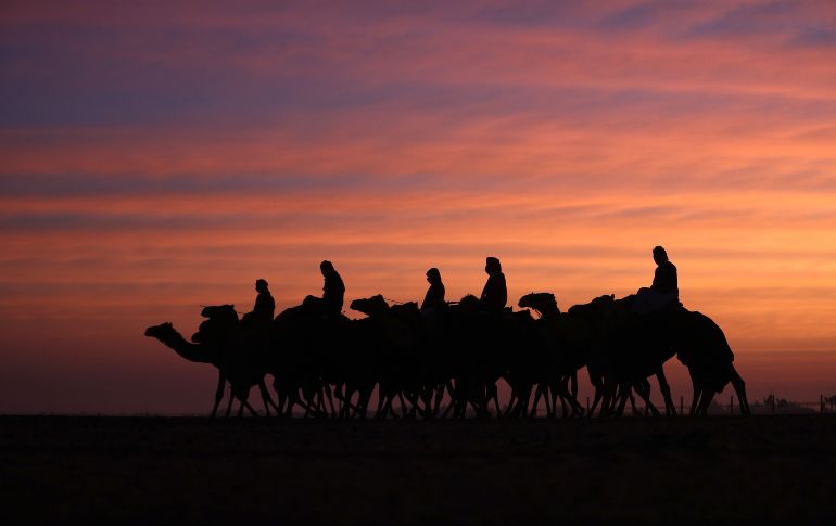 Competidores participan en el Festival de Camellos Dhafra en el desierto de Madinat Zayed, en Emiratos Árabes Unidos. El festival incluye un concurso de belleza de camellos y exhbición de artesanías locales, entre otras actividades. AFP/K. Sahib