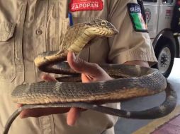 Juegan mala broma a bomberos de Zapopan