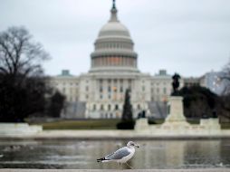 La propuesta consta de seis proyectos de ley para financiar todo el año 2019 y con uno que otorga fondos a Seguridad Nacional hasta el 8 de febrero. EFE / E. S. Lesser