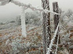 El gobierno del estado de Sinaloa ya puso en marcha medidas de emergencia. ARCHIVO