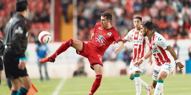 Refuerzo melenudo ruge de alegr&iacute;a