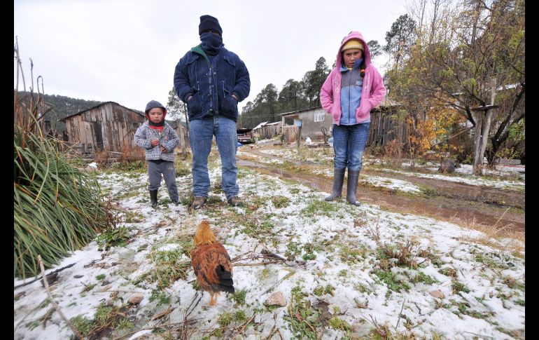 Habitantes de Guanaceví padecen las bajas temperaturas. La sexta tormenta invernal de la temporada y el frente frío número 22 han dejado una capa blanca en puntos de Durango y Sonora.