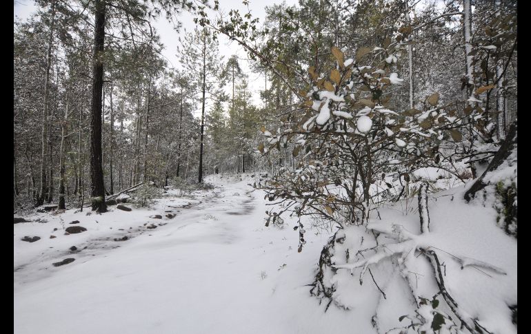 La sierra nevada en el municipio de Guanaceví, en Durango, durante la temporada invernal. EFE/F. Soto