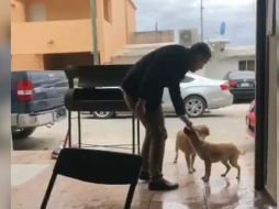 El clip de casi 30 segundos ya cuenta con más de un millón de reproducciones. TWITTER / @Miryjuarez