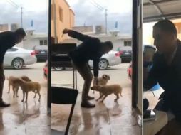 El sujeto llama a un par de perros con navaja en mano y luego de acariciar a uno, apuñala a otro en la espalda y se retira a sentarse en una mesa. TWITTER