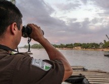 Actualmente muchos migrantes pueden pasar de Guatemala a México simplemente cruzando el río Usumacinta. NTX / ARCHIVO