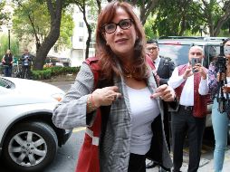 Polevnsky llamó a trabajar en unidad por el proyecto de gobierno de López Obrador. NTX/ARCHIVO