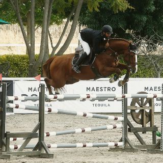 Vibrante jornada de salto en el club La Hípica
