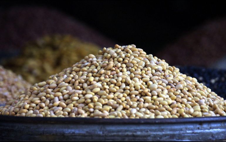 Expertos detallan que el frijol contiene compuestos bioactivos que pueden ayudar a prevenir obesidad, sobrepeso y diabetes tipo 2.EL INFORMADOR / ARCHIVO