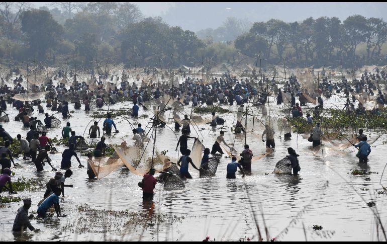 Pobladores realizan una pesca comunitaria en Panbari, India, en el marco del festival de la cosecha Bhogali Bihu. AFP/B. Boro