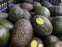 Para esta semana se tiene contemplada la salida de unos 216 embarques diarios que tendrán impacto directo en las ventas de guacamole que se hagan en el gran juego. EL INFORMADOR / ARCHIVO