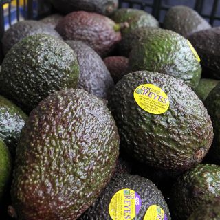 Previo al Super Bowl LIII, Michoacán exporta 32 mil toneladas de aguacate