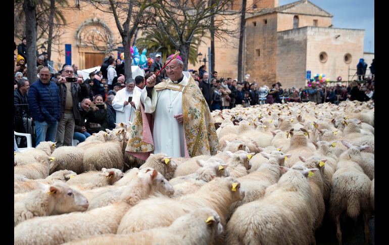 Un sacerdote bendice a ovejas en Muro, España, durante una tradicional ceremonia de 