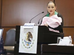 La senadora no espera una disculpa pública por parte de Muñoz Ledo, aunque sí le gustaría que ocurriera. TWITTER / @SenadoresdelPAN