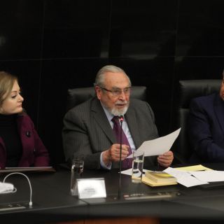 Investigaría al Presidente si cometiera un delito: Bernardo Bátiz