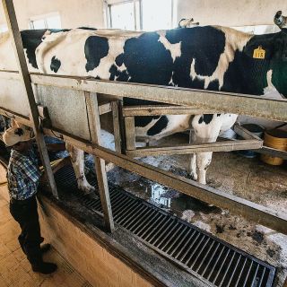 Ven riesgos en política de precios de garantía