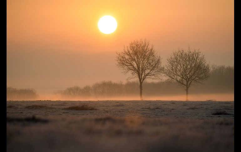 El amanecer sobre un campo nevado en la población francesa de Lavau-sur-Loire. AFP/L. Venance