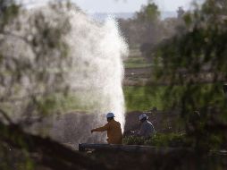 Técnicos de Pemex trabajan en el sitio donde se halló otra toma clandestina en Teocalco, municipio de Tlaxcoapan. EFE
