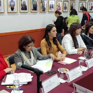 Colectivos feministas abogan por el Instituto Jalisciense de las Mujeres