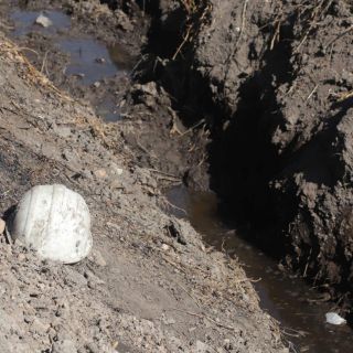 La Semarnat analizará posibles daños ambientales en Tlahuelilpan