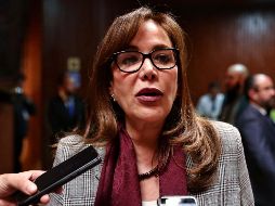 Polevnsky declaró que ''se oye mucho mejor PRIMOR que PRIAN'', su decir, porque las alianzas hechas con el Presidente Andrés Manuel López Obrador, siempre serán para construir. SUN /