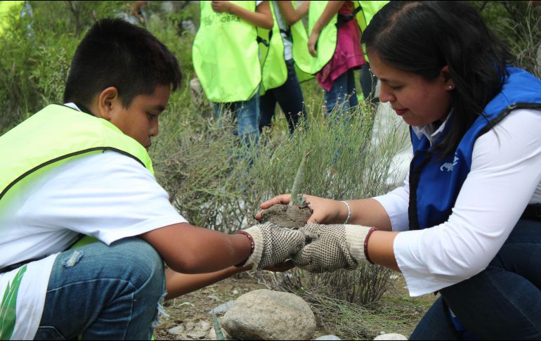 Voluntarios Cemex pintan de verde comunidades