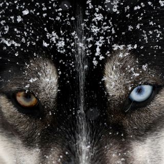 El mundo en imágenes del 25 de enero de 2019