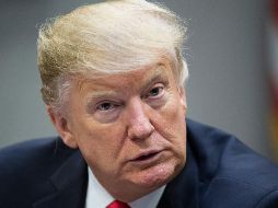 Los fondos no incluirán los cinco mil 700 MDD que el presidente Donald Trump había pedido para la construcción de un muro. EFE / M. Reynolds