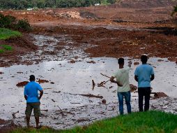 El gobierno informa que, según datos transmitidos por el representante de la minera Vale al gobernador Romeo Zema, había 427 personas en el lugar, y 279 fueron rescatadas vivas. AFP / D. Magno