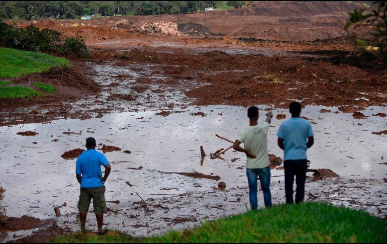 El gobierno informa que, según datos transmitidos por el representante de la minera Vale al gobernador Romeo Zema, había 427 personas en el lugar, y 279 fueron rescatadas vivas. AFP / D. Magno