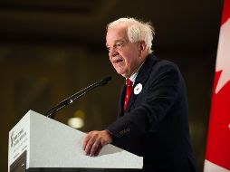 John McMallum dijo a la prensa que la defensa de Meng Wanzhou tenía un 