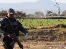 El Presidente presume que el pasado domingo 27 de enero, fue el día que menos combustible robaron los llamados 