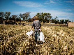 Con el crecimiento en el periodo de octubre a diciembre de 2018, suman 36 trimestres al alza en su comparación anual, de acuerdo con datos estadísticos. EL INFORMADOR / ARCHIVO
