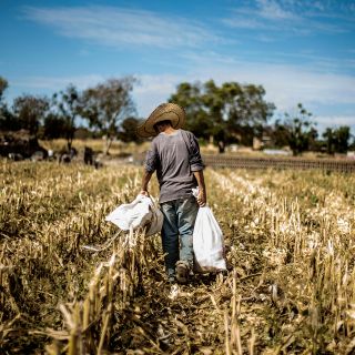 Economía mexicana crece en 2018 ligeramente por debajo de lo esperado