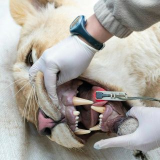 El mundo en imágenes del 30 de enero de 2019