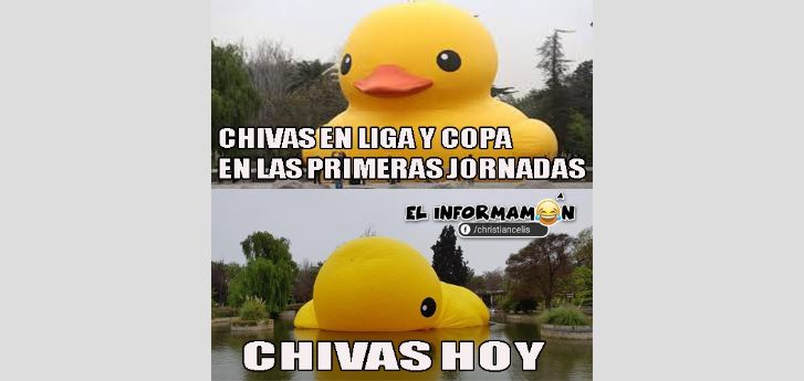 Chivas hoy