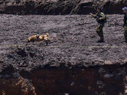 Tras la catástrofe, la Justicia brasileña bloqueó unos 12 mil millones de reales (unos tres mil 180 millones de dólares) de las cuentas de Vale para garantizar el pago de las indemnizaciones. EFE/ Y. Edmundo