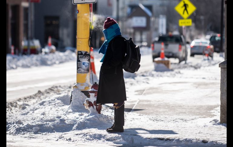 El fuerte frío es resultado de una división del vórtice polar que ha permitido que las temperaturas bajen más al sur que lo normal. Una mujer camina en Minneápolis, Minnesota. AFP/S. Maturen