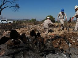 Los estados que han recuperado ventas en los últimos días son Ciudad de México, Estado de México, Jalisco y Michoacán. Sin embargo, Guanajuato, Hidalgo y Querétaro aún no se normalizan las ventas y el abasto. NTX / ARCHIVO